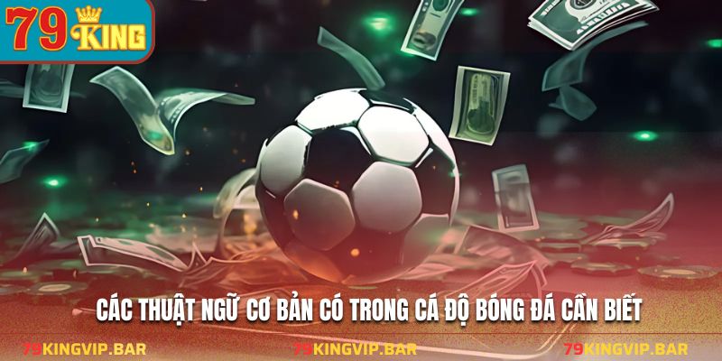Các thuật ngữ cơ bản có trong cá độ bóng đá cần biết