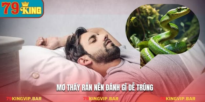 Mơ thấy rắn nên đánh gì dễ trúng