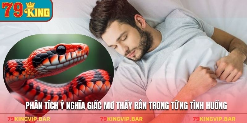 Phân tích ý nghĩa giấc mơ thấy rắn trong từng tình huống
