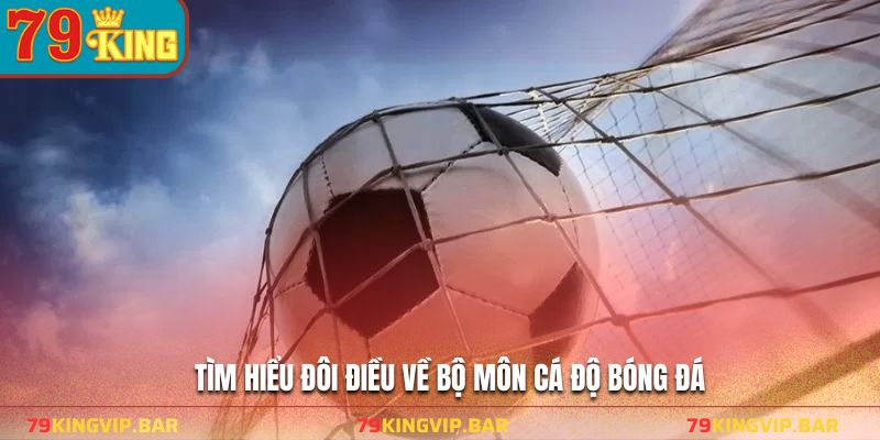 Tìm hiểu đôi điều về bộ môn cá độ bóng đá