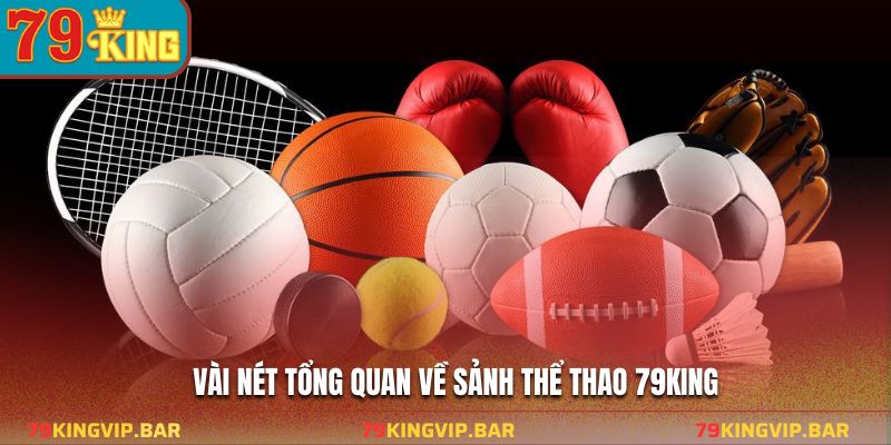 Vài nét tổng quan về sảnh thể thao 79KING