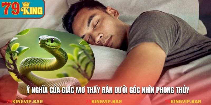 Ý nghĩa của giấc mơ thấy rắn dưới góc nhìn phong thủy